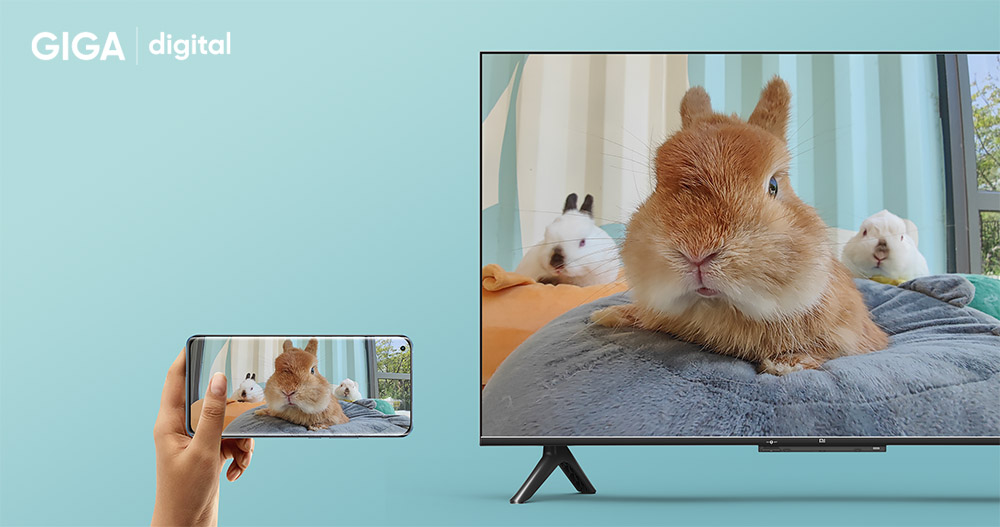 Xiaomi Mi TV P1 55 inch